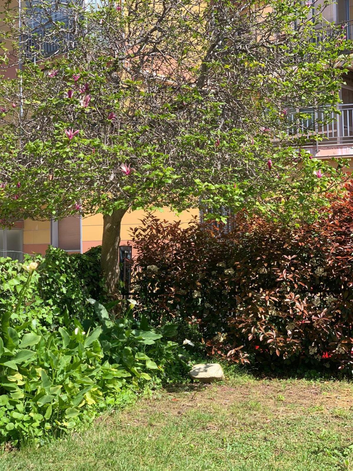 B&B La Magnolia Savona Zewnętrze zdjęcie